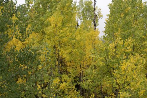 dsc_2448.jpeg