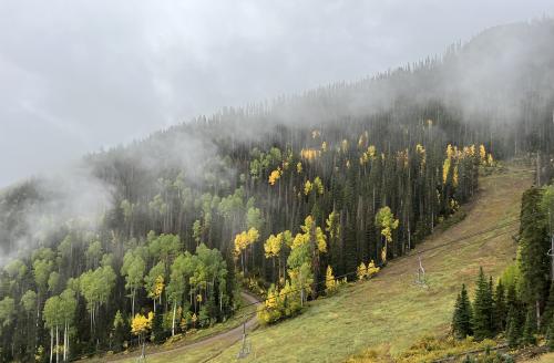 img_6786.jpg